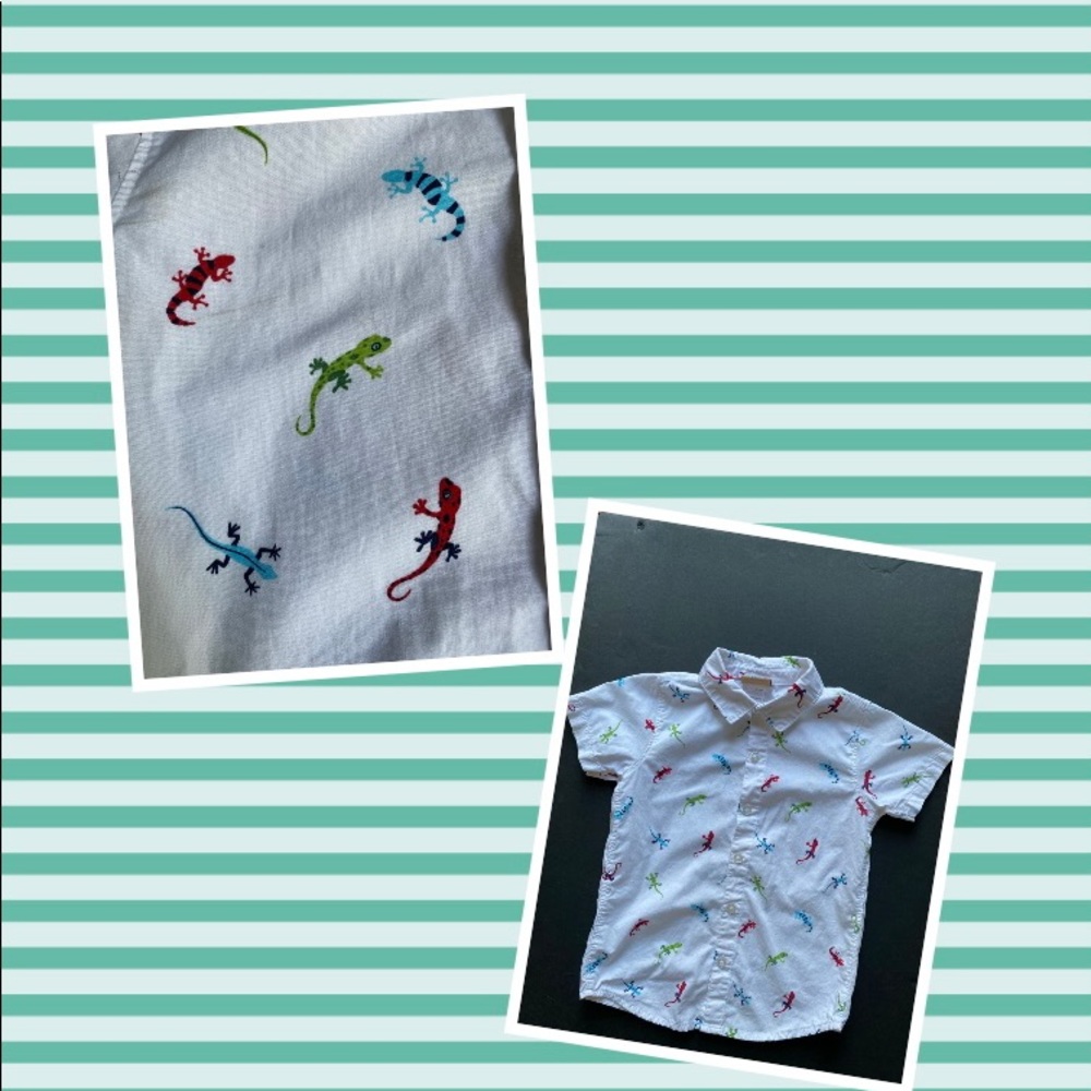 RARE Brooklyn boys shirt iguana lizard print, size 6